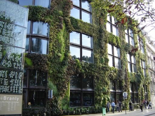 Terrasses de musées rive gauche : nos adresses pour une pause parisienne