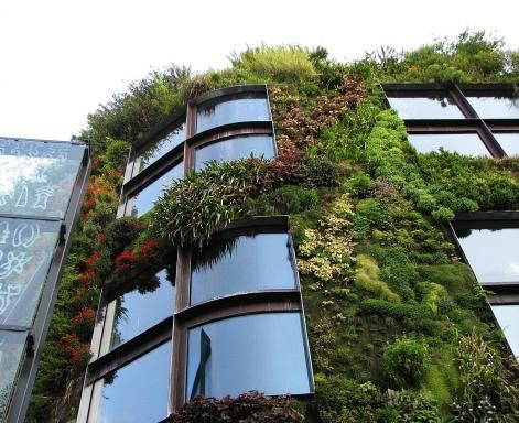 Quai Branly : les activités pour les familles