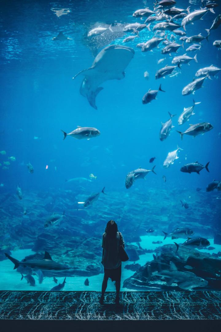 L'Aquarium de Paris