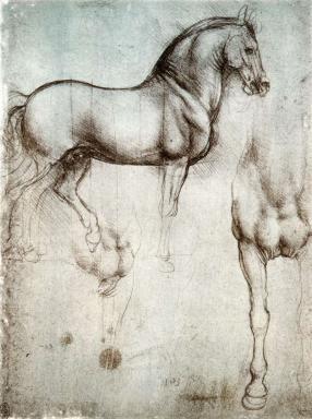 Cheval en Majesté au Château de Versailles