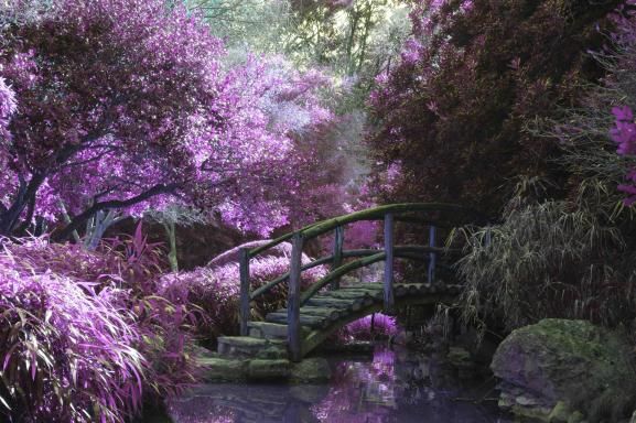 Salon Fantastique & Japan Party 2026 in Paris: experience the event from the Hôtel Moderniste