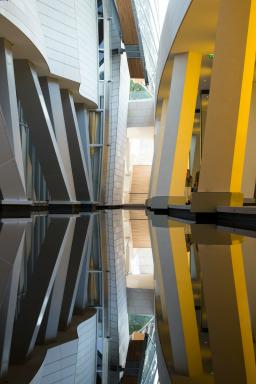David Hockney at Fondation Louis Vuitton