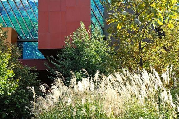 The - Jardin d'été - summer program at the Quai Branly Museum