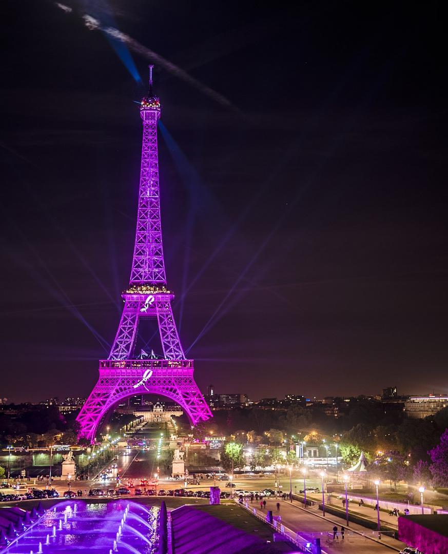 C'est l'Octobre Rose à Paris !