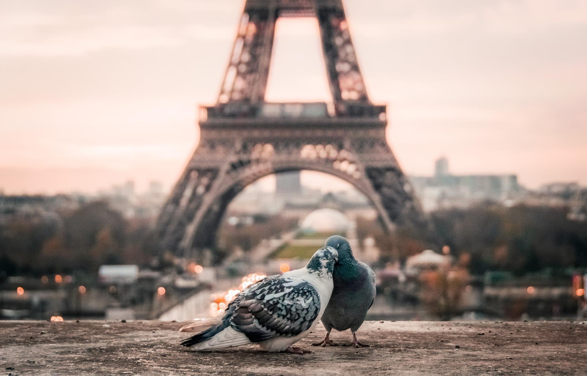 What to do in Paris for Valentine's Day 2023 !