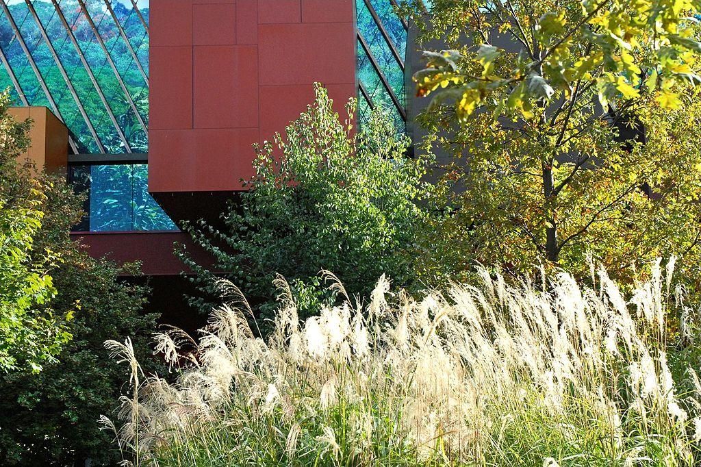 Le Jardin d'été 2022 au Musée du Quai Branly